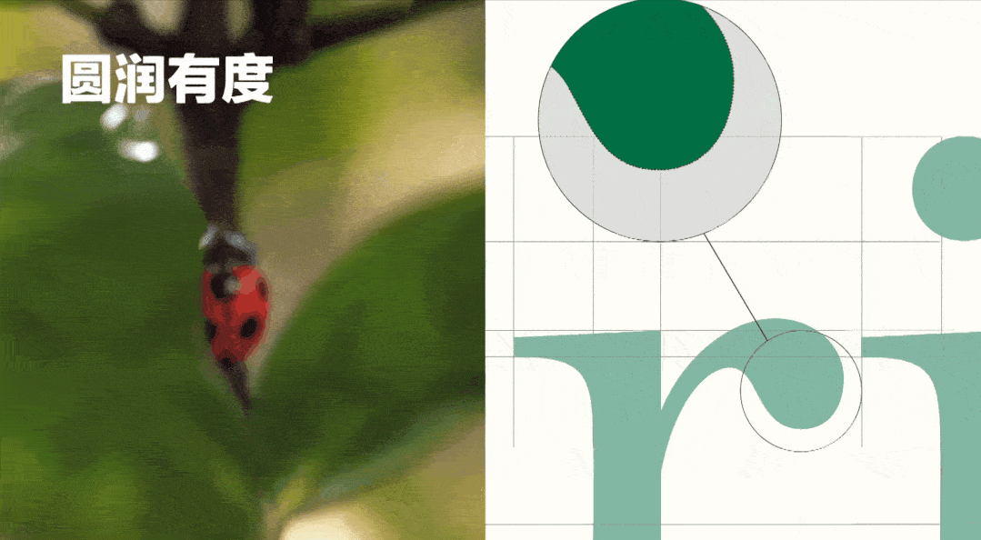 ~RƷLOGOOӋ7.gif