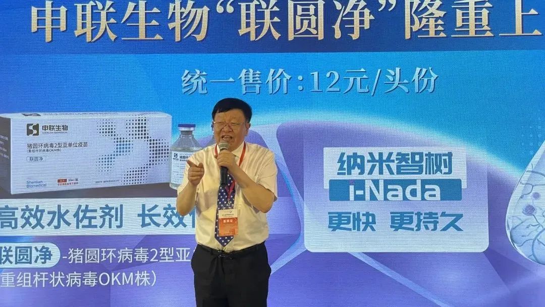 A9.jpg