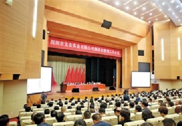 中標深圳寶安實業集團企業形象VIS設計