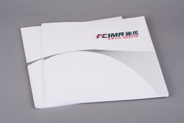 深圳飛馬國際供應鏈股份形象畫冊設計